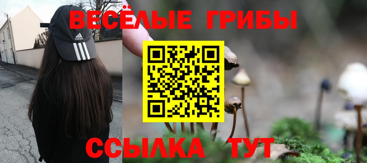 Псилоцибиновые грибы мухоморы  Вход с VPN  Всеволожск 
